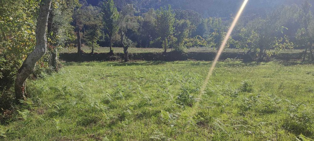 Vendo terreno com 1.074 m² em Souto, Terras de Bouro