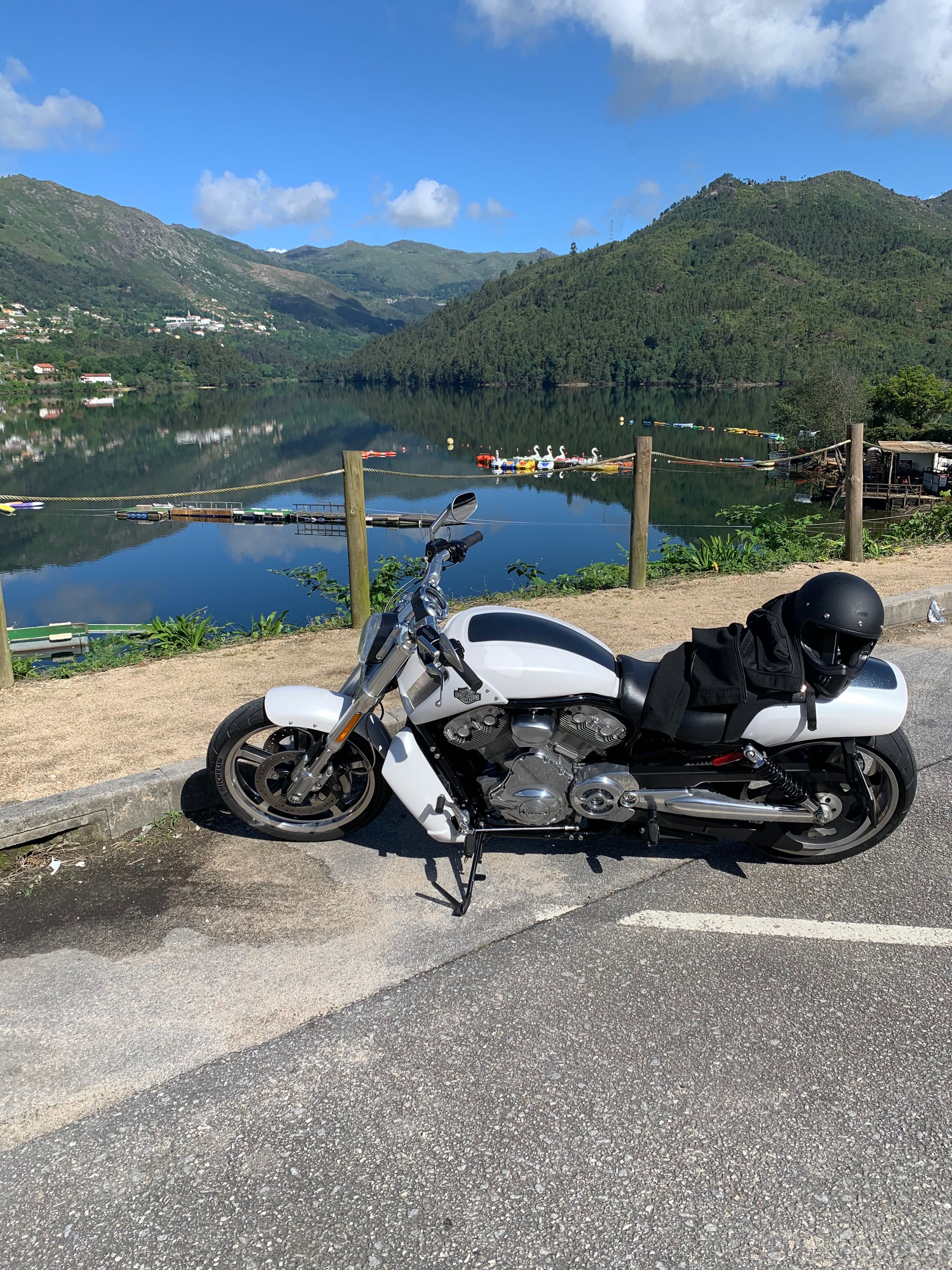 Harley Davidson V Rod MUSCLE