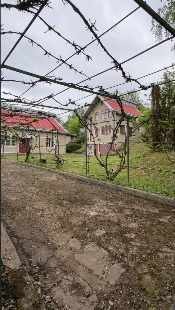 Продаж Будинок Садиба Ділянка Дача (господарство)