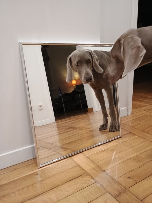 Lustro ścienne 54x56