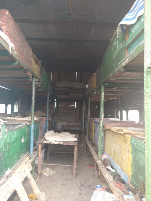 Пчелопавильон, пчёлы