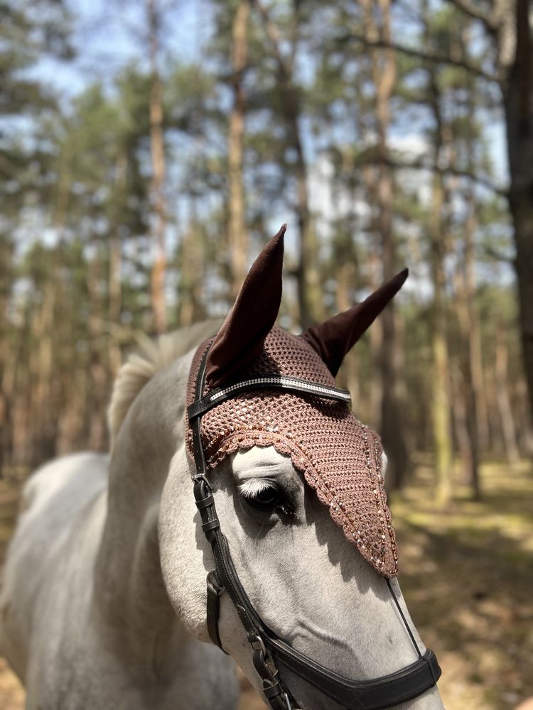 Nauszniki dla konia