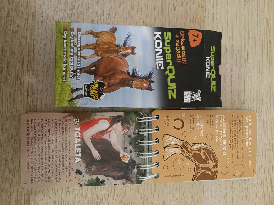 Gra edukacyjna Konie