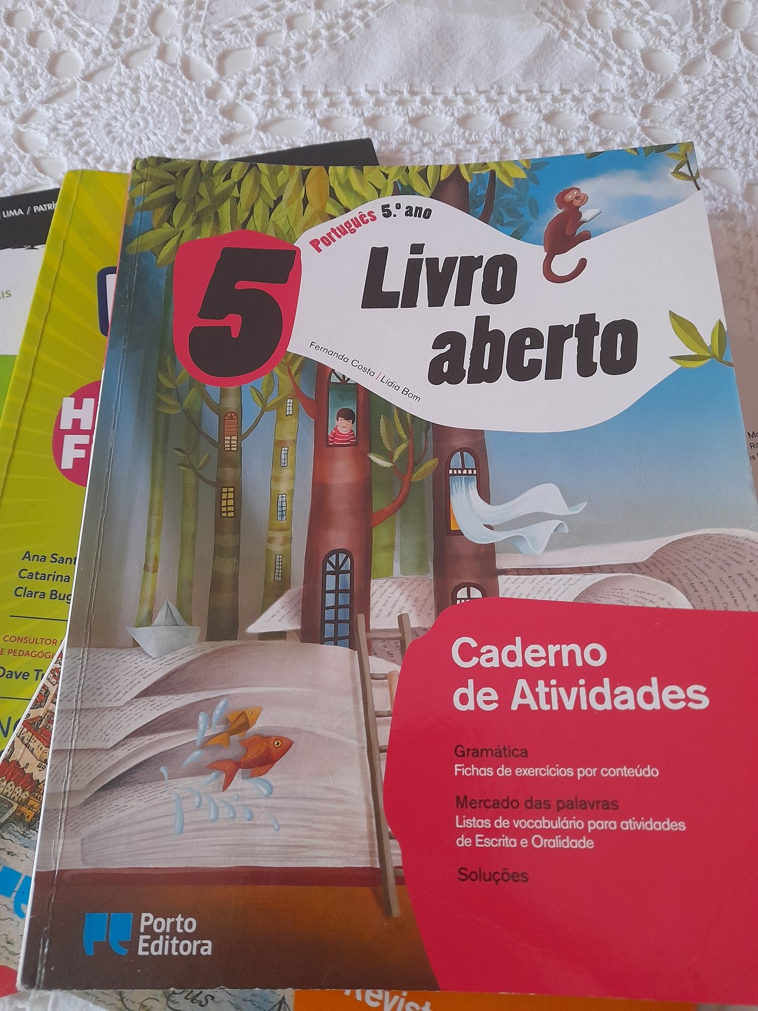Livros de fichas