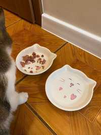 Yarro Miska Ceramiczna + Gratis, Na Pokarm Wodę Kitten Kocięta Brit