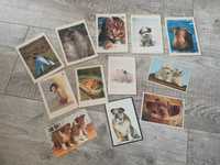 Kartki pocztowe zwierzęta