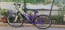 Bicicleta usada adulto