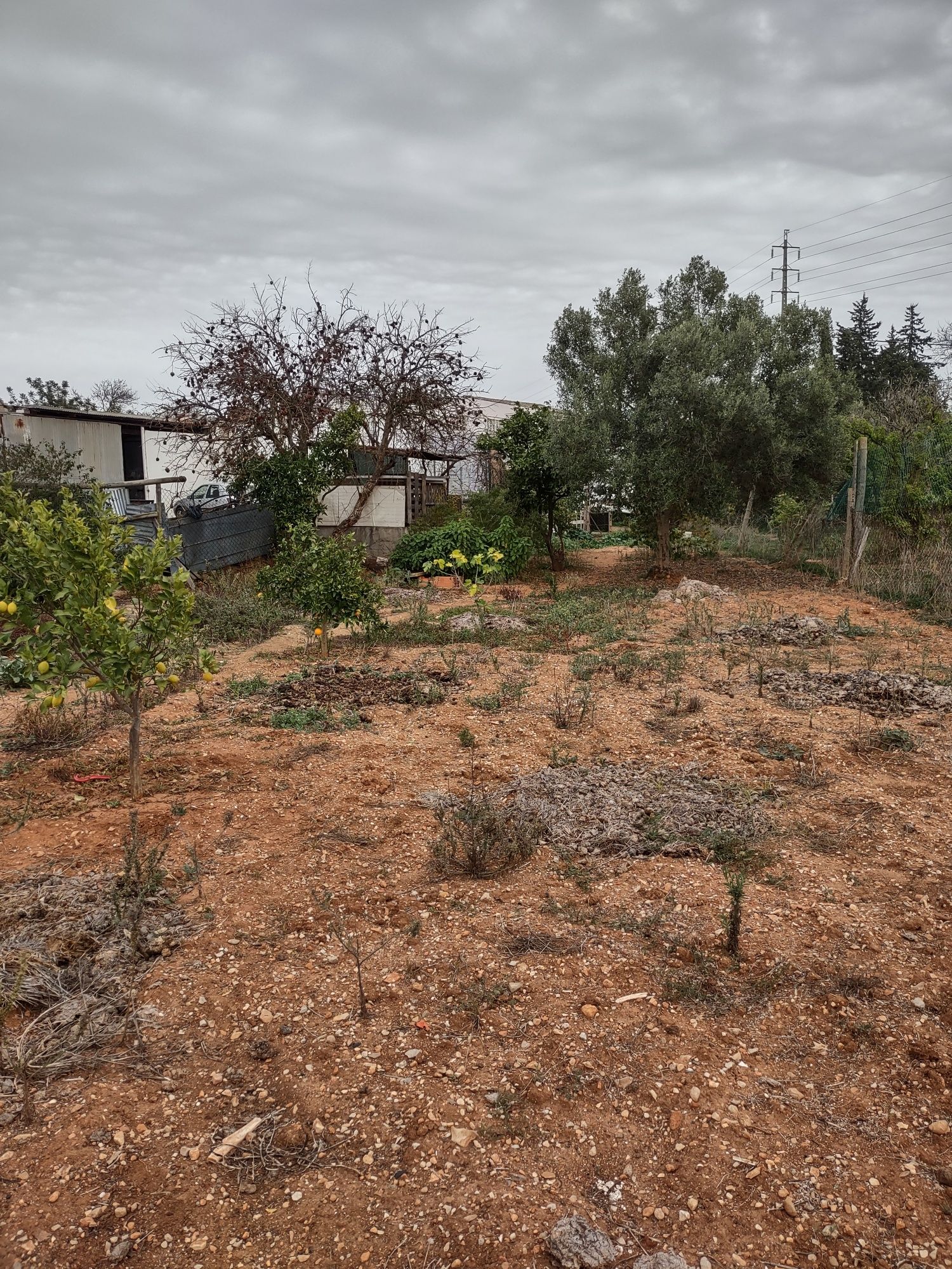 Casas e armazém  permuta  por apartamento