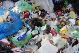 Utylizacja wywóz śmieci, sprzątanie wszelkich odpadów
