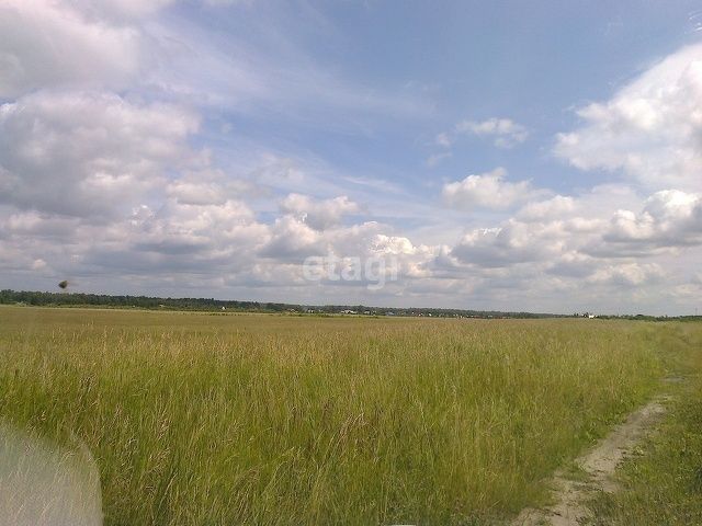 Срочно продаю земельный участок  5.155 га в Киевской области