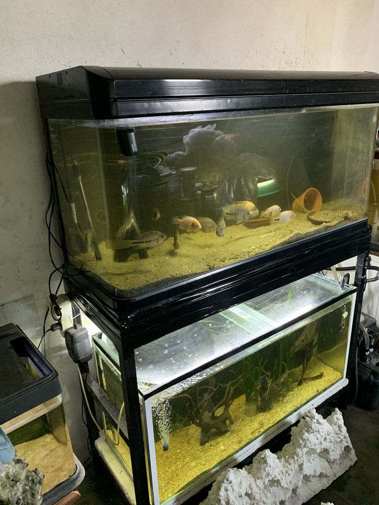 2 aquarios com luz e estrutura de  ferro