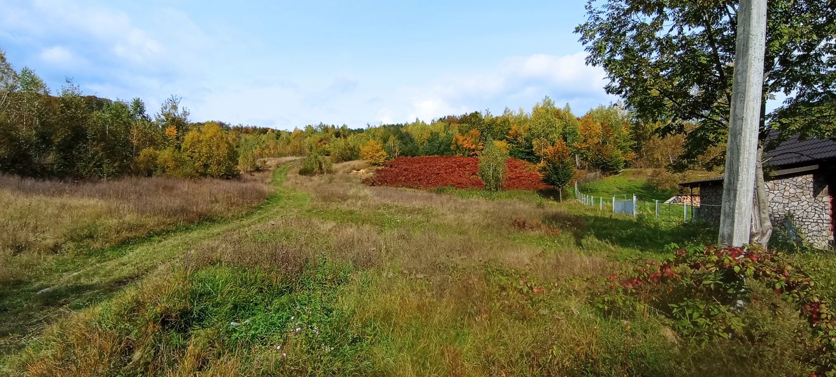 Продаж ділянки у Колиби Поляна Закарпатьской