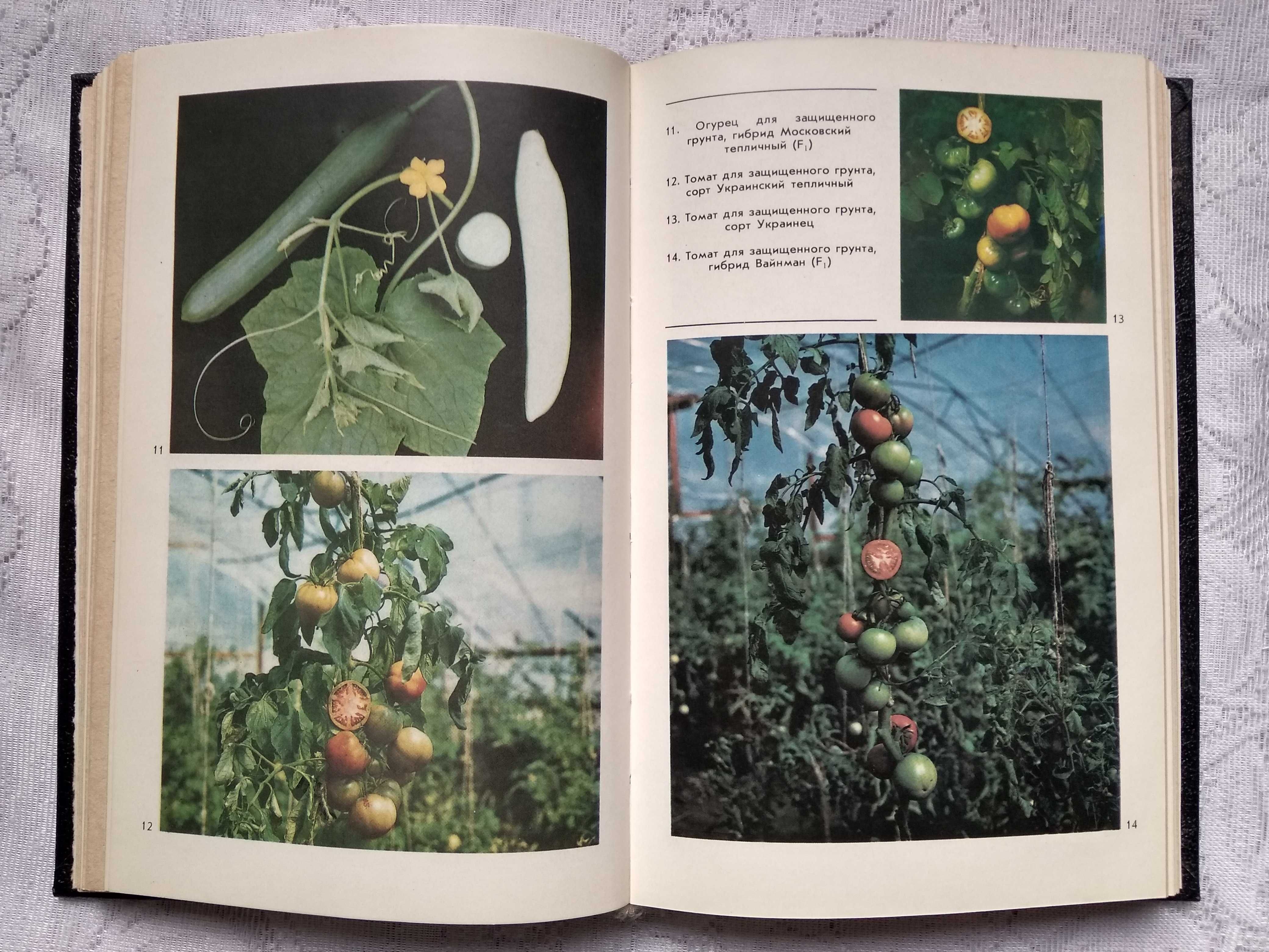 Книга О.Барабаш "800 практических советов огороднику" Киев 1992г