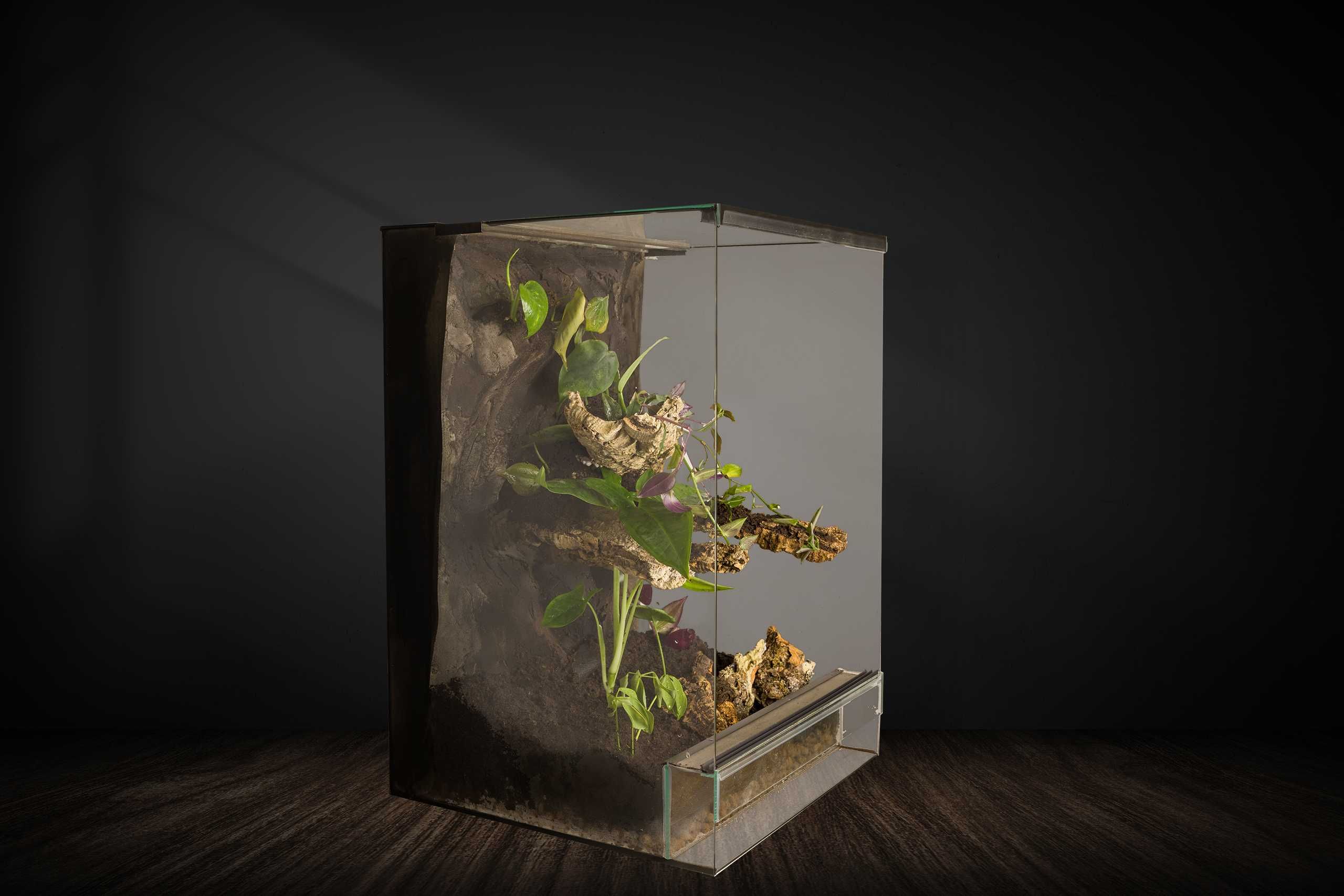 terrarium tropikalne 40x40x60