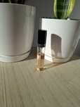 Gucci Bloom Parfum