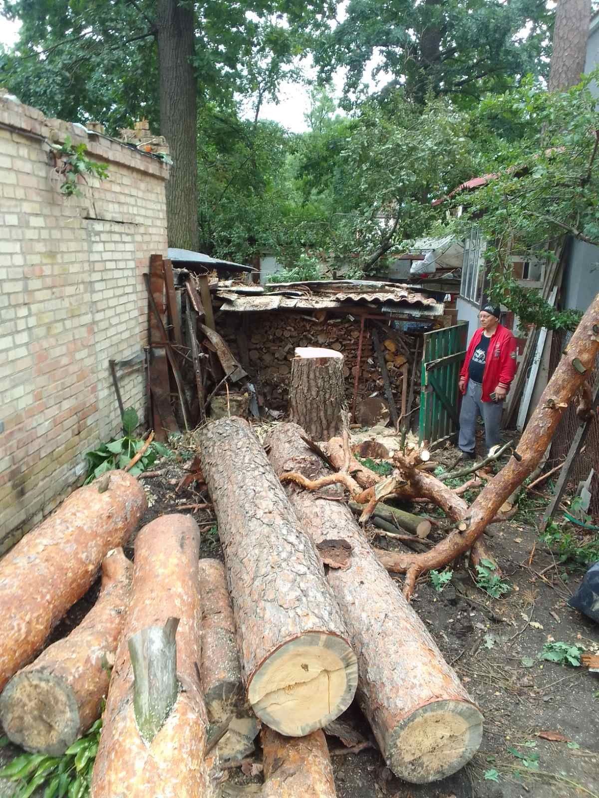 Видалення аварійних дерев. Є послуги автовишки.Є послуги ЩЕПОРІЗА