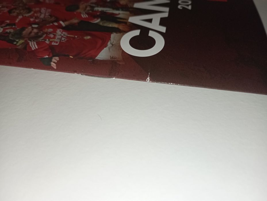 Caderneta SL Benfica Record