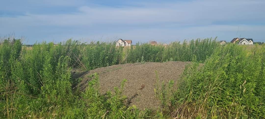 Земельна ділянка