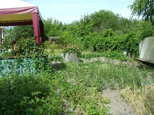 Терміново продам дачу-будинок в. Малій Салтанівці! Без комісії!