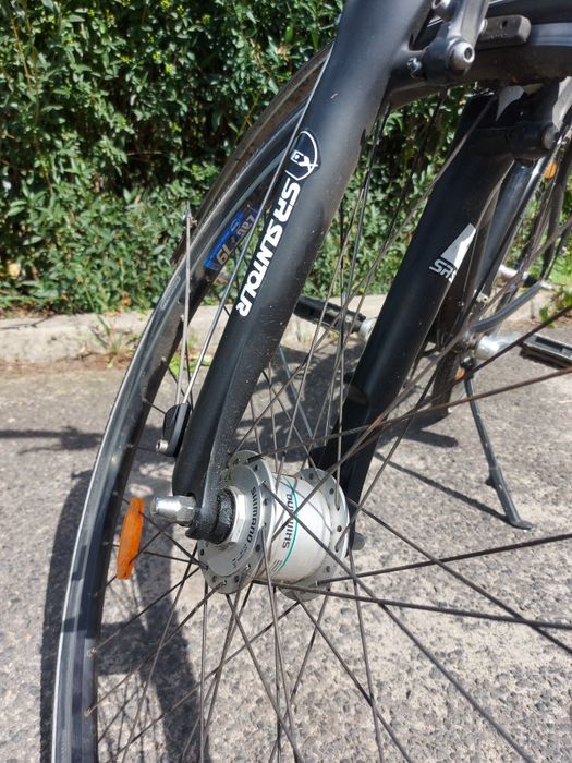 Rower Pegasus Piazza 28 cali