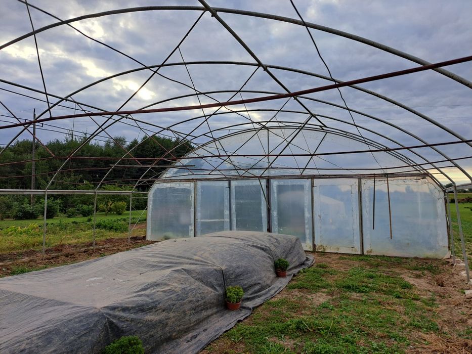 Konstrukcja tunelu foliowego