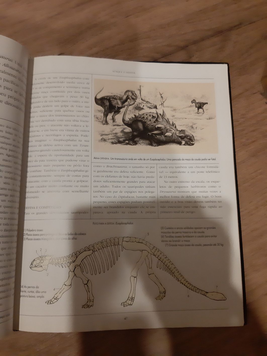 O livro Dos Dinossaurios * Tim Gardom