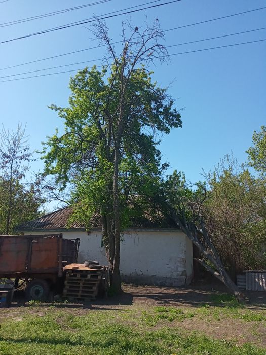 Земельна ділянка з хатиною під ремонт