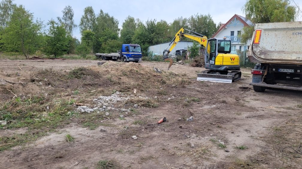 Wycinka drzew czyszczenie działki wywóz karp odpadów kompleksowe usług