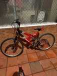 Bicicleta EMT BTT