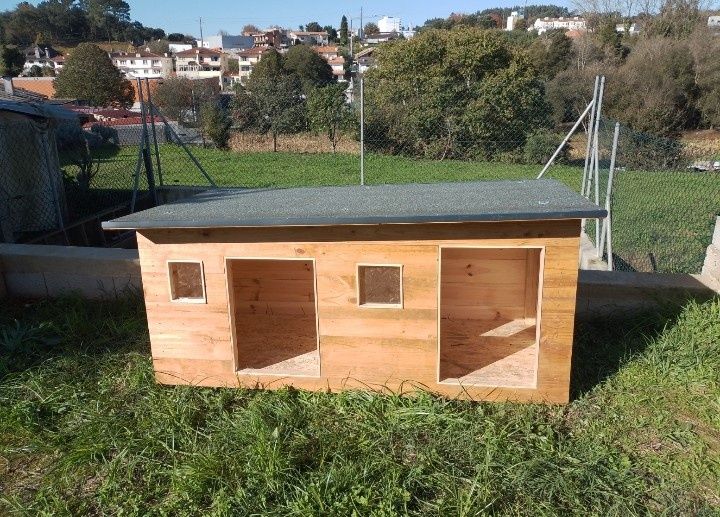 Casotas para cães