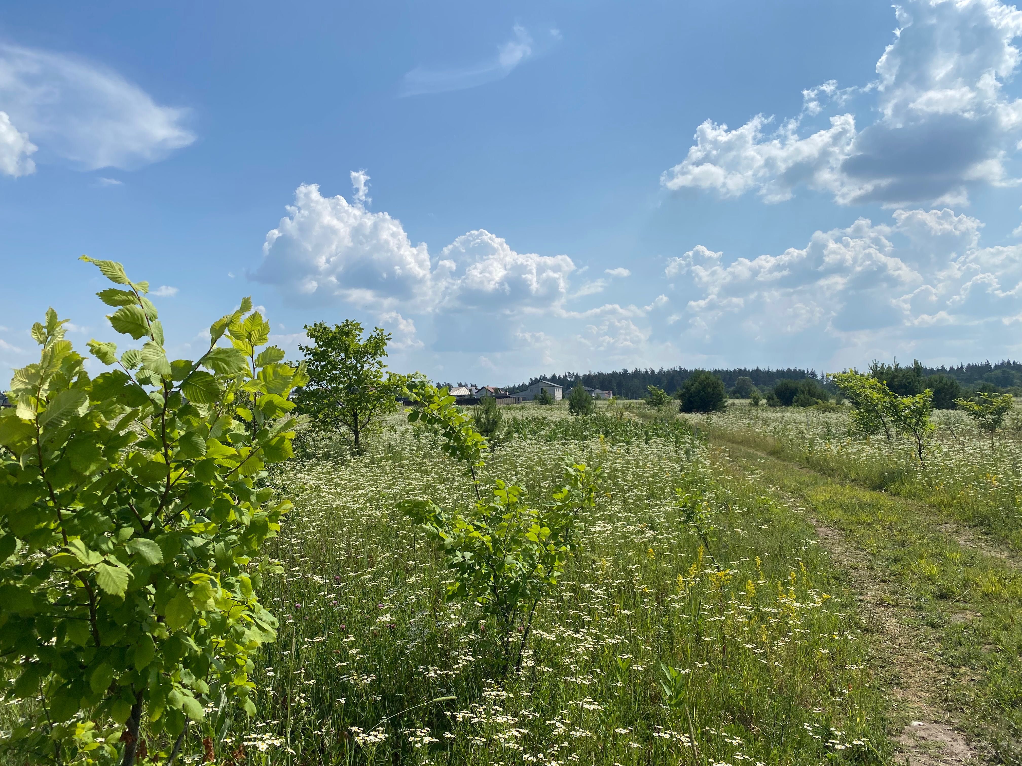 Продам земельную ділянку Бобриця