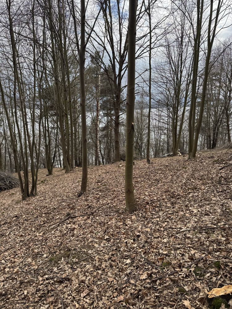 Działka budowlana z widokiem na jezioro żywieckie