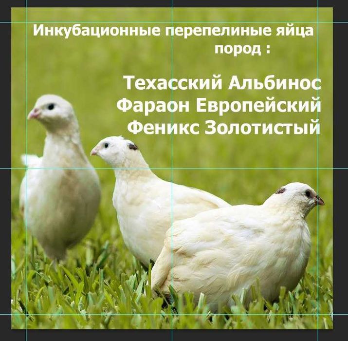 Лампа керамическая инфракрасная 50, 75, 100,  150, 200 Вт