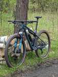 Canyon Lux Trail CF7 2023 M