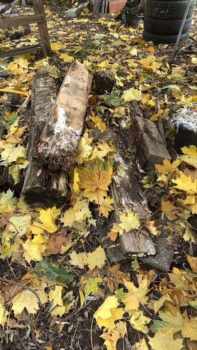Oddam drewno na opał