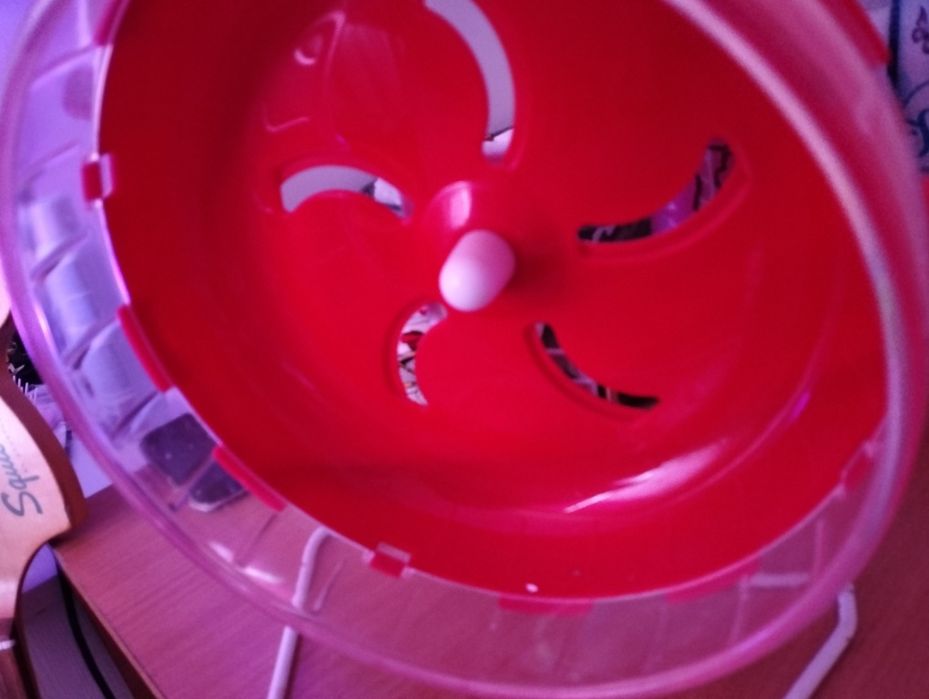 колесо для грызунов с подставкой