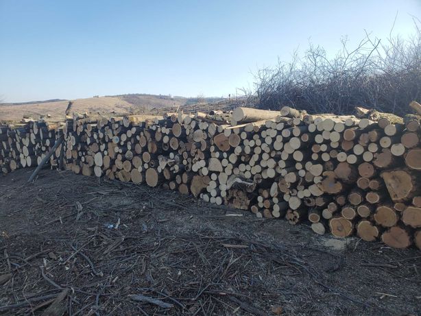 Продам дрова Сосна Дуб плотно уложены с доставкой
