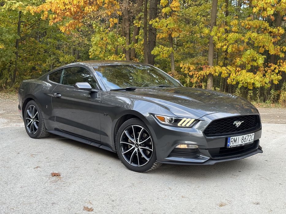Ford Mustang 3,7 V6 | Automat | Zadbany