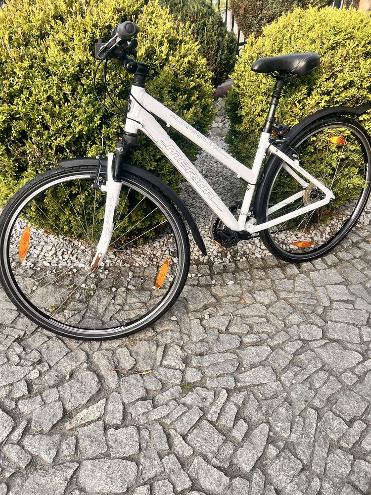 Damka merida crossway kola 28 rama M
