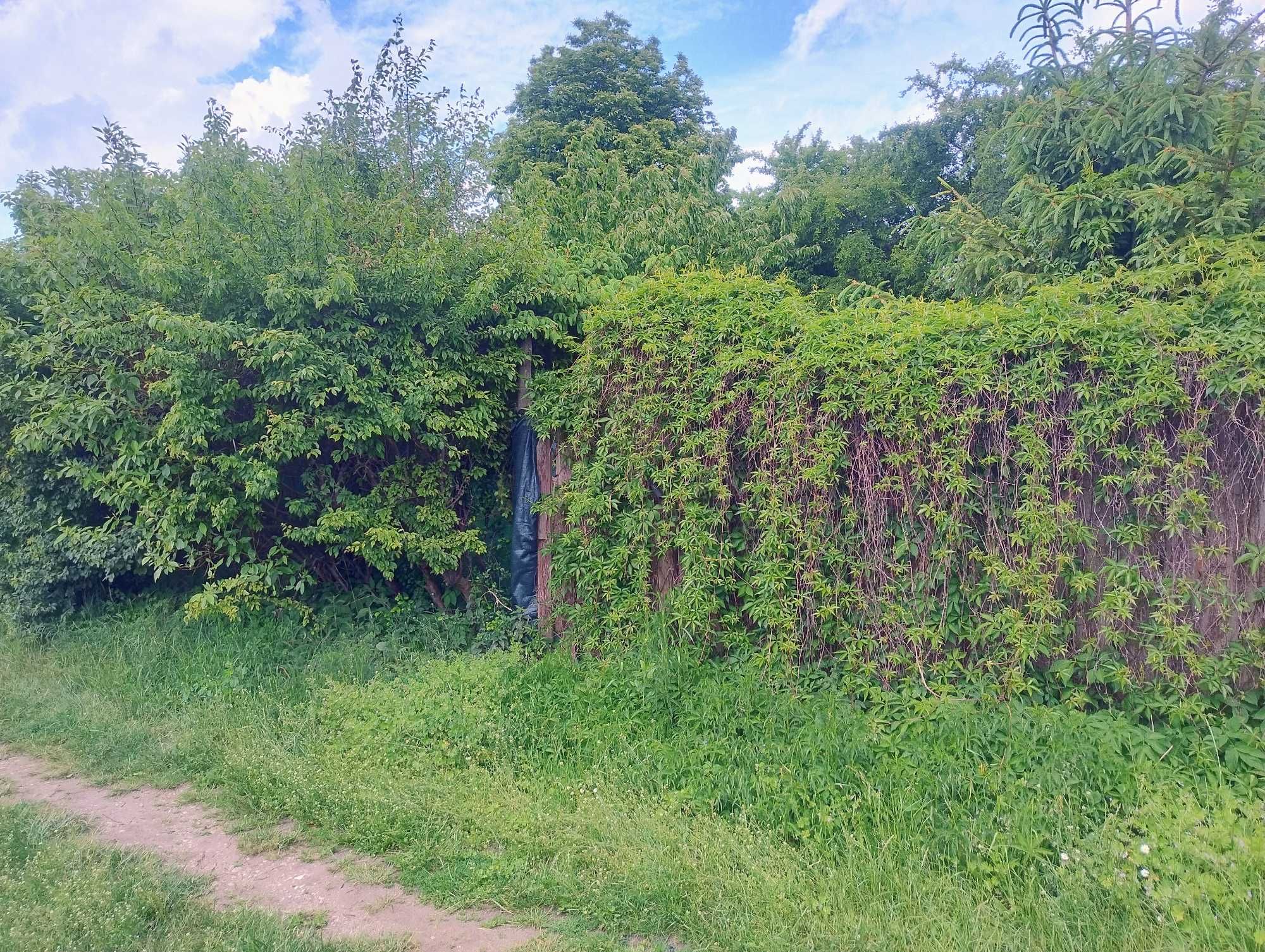 Działka ROD Południe / Os. Chrobrego / Okazja - zapraszam do oględzin