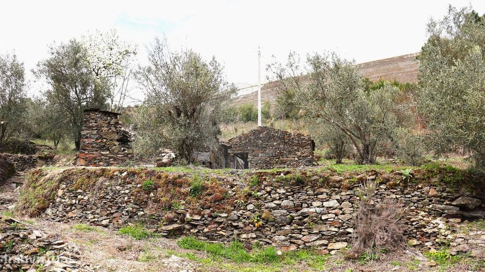 Terreno  para venda