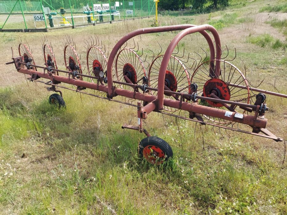 Zgrabiarka 7-gwiazdowa, pająk