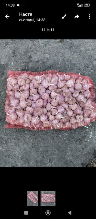 Продам часникЛюбаша