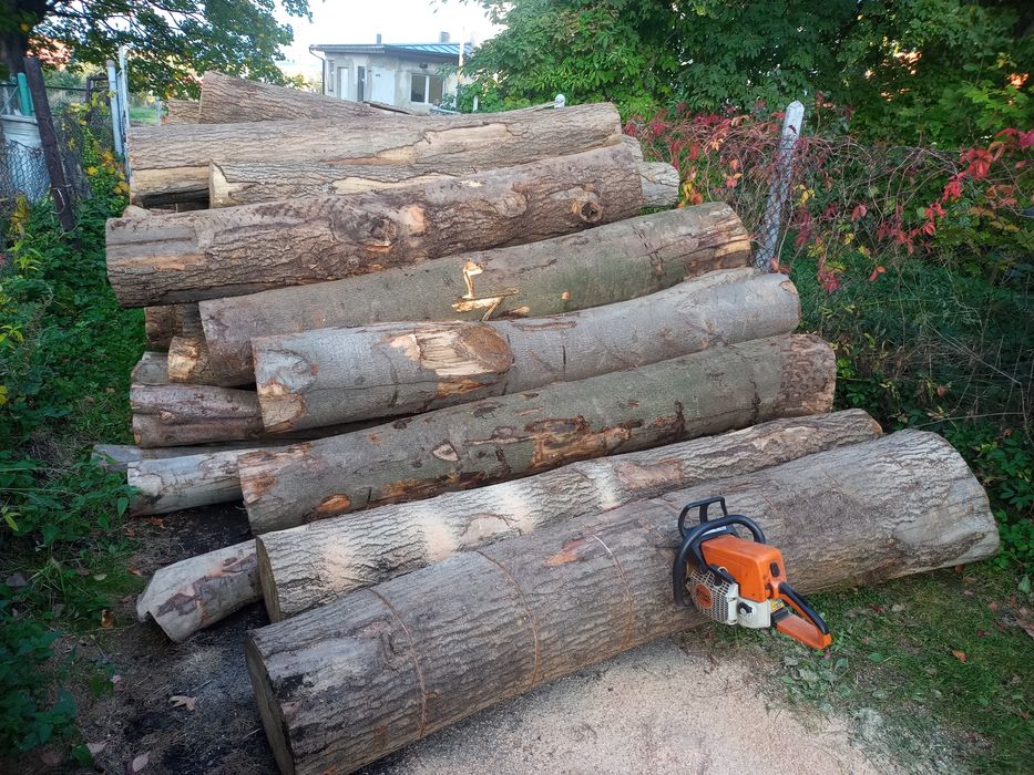 Drewno opałowe cięcie