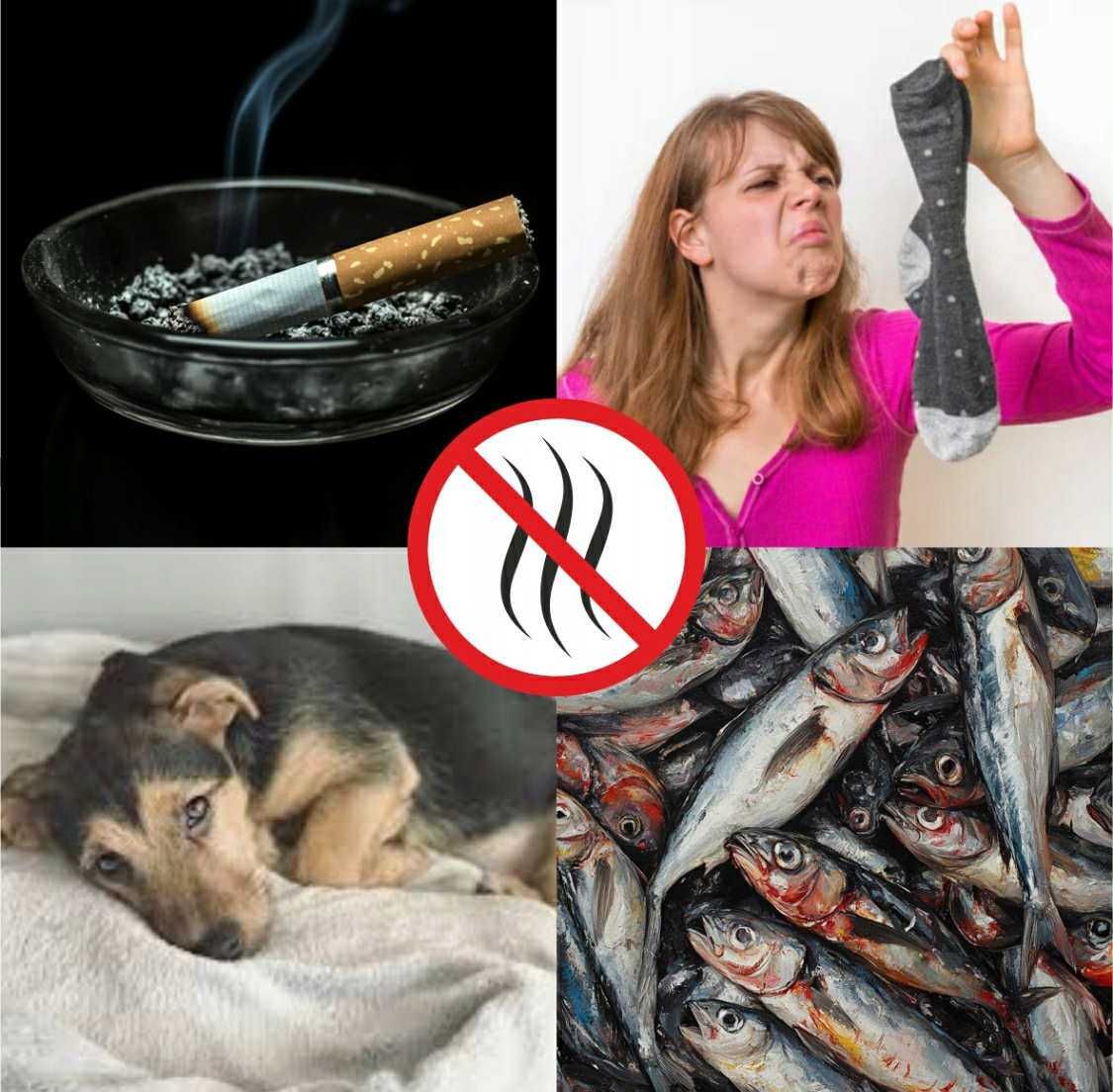 Mocny ozonator 60g h140W do domu auta mieszkania oczyszczacz powietrza