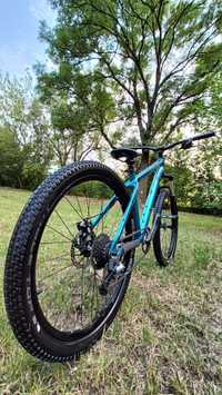 SPECIALIZED P Street 26' *custom*