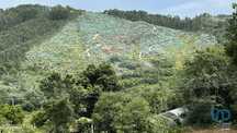 Terreno Agrícola em Banho e Carvalhosa de 159460,00 m2