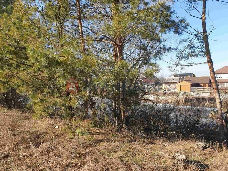 Продається ділянка 25 соток у лісі, біля р.Дніпро..
