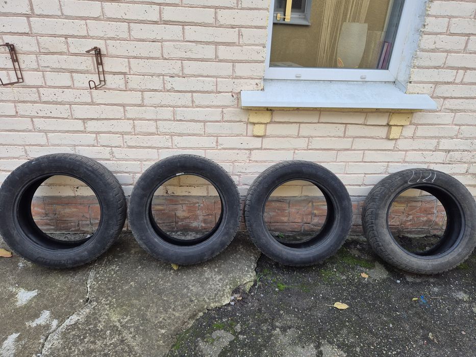 Шини зимові 205/55 R16 Michelin Alpin 6