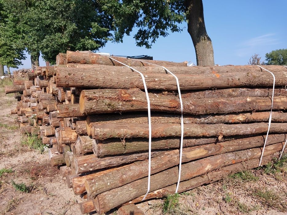 Słupki ogrodzeniowe dębowe